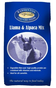 Badminton Llama And Alpaca Mix